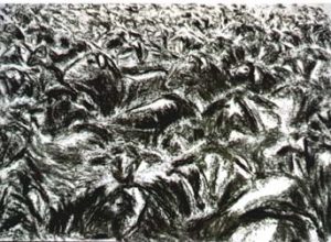 Difficult Sheep I (houtskool op papier, 70x100cm, 1998)